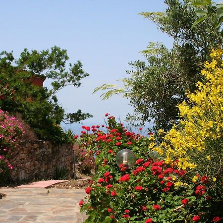 Ikarian Centre - Accommodation & Mountain Hiking Evdilos  Exterior foto