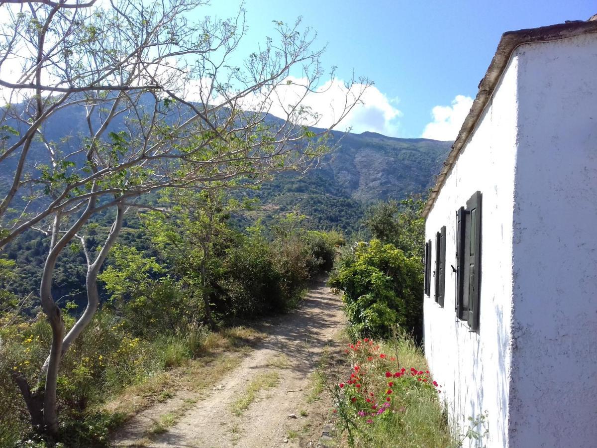 Ikarian Centre - Accommodation & Mountain Hiking Evdilos  Exterior foto