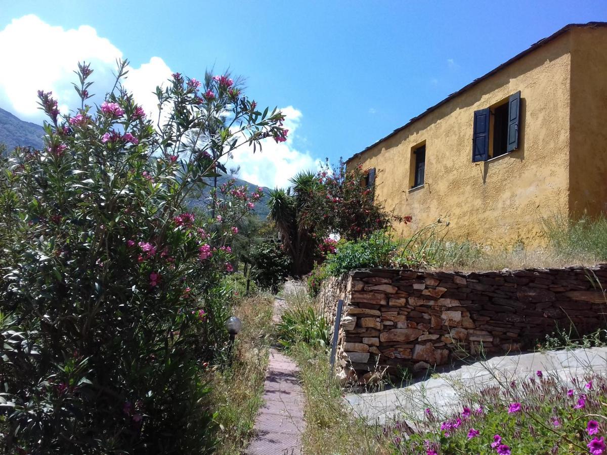 Ikarian Centre - Accommodation & Mountain Hiking Evdilos  Exterior foto