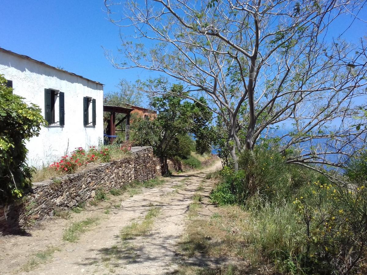 Ikarian Centre - Accommodation & Mountain Hiking Evdilos  Exterior foto
