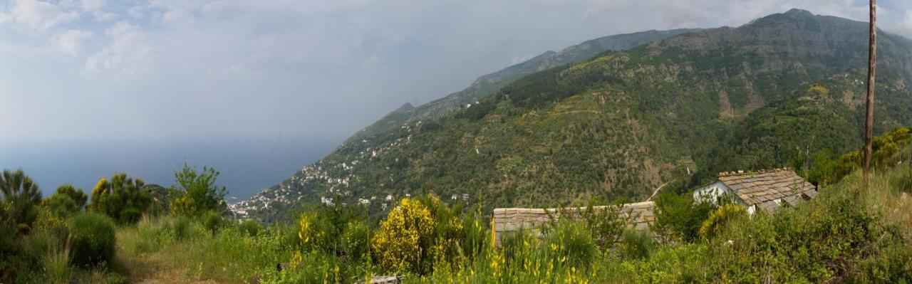 Ikarian Centre - Accommodation & Mountain Hiking Evdilos  Exterior foto