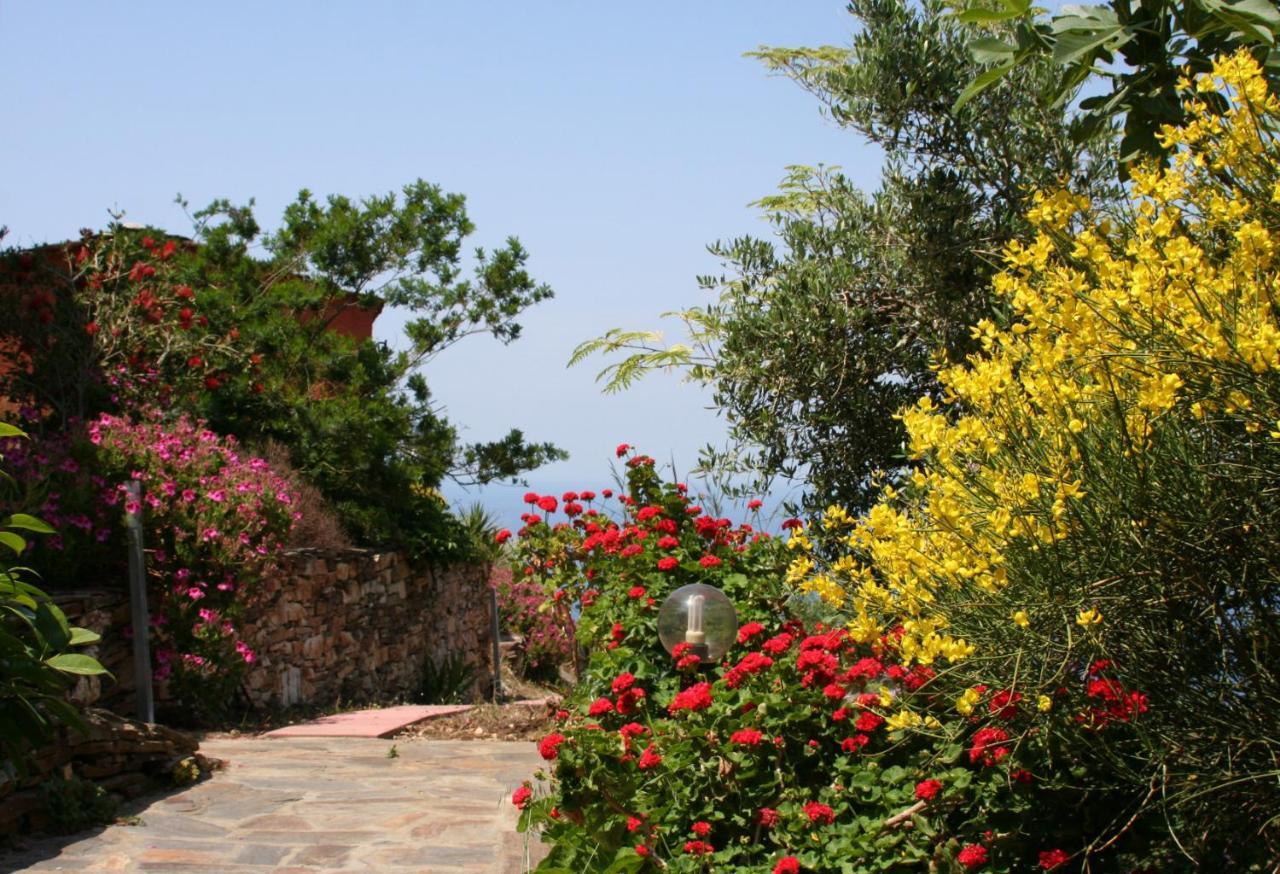 Ikarian Centre - Accommodation & Mountain Hiking Evdilos  Exterior foto