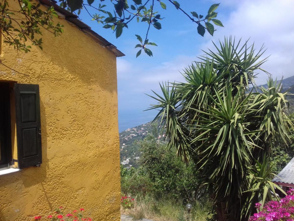Ikarian Centre - Accommodation & Mountain Hiking Evdilos  Exterior foto